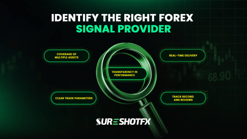 Identify the Right Forex Live Signal Provider