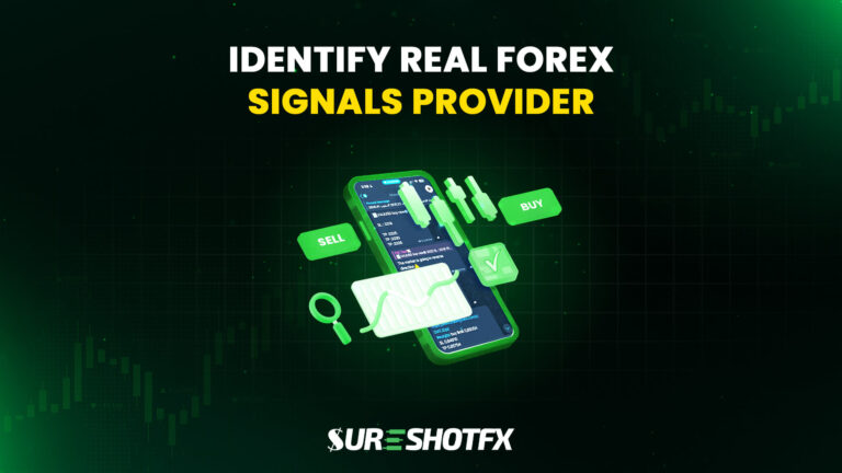 Identify Real Forex Signals Provider on Telegram